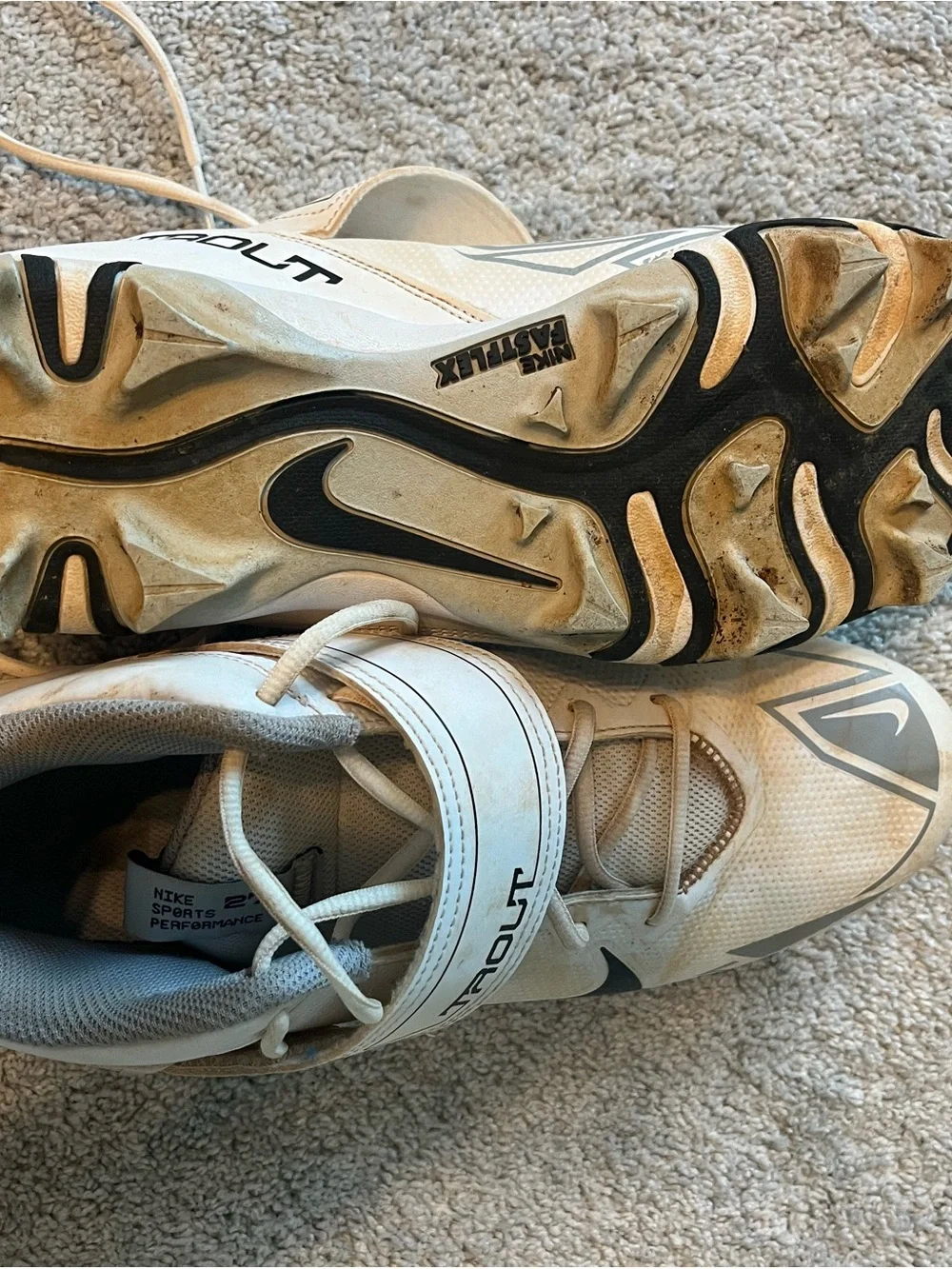 Nike Force Trout Baseball Cleats